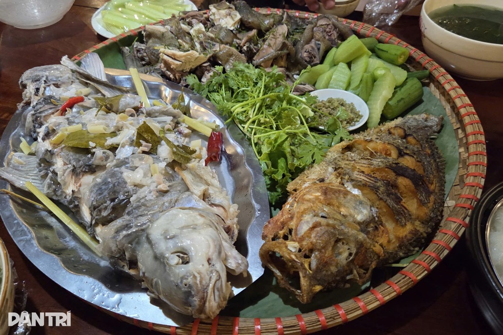 Lão nông chỉ học hết lớp 3, thành đại gia nhờ nhân giống loài cá đặc sản - 7 Lão nông chỉ học hết lớp 3, thành đại gia nhờ nhân giống loài cá đặc sản - 7