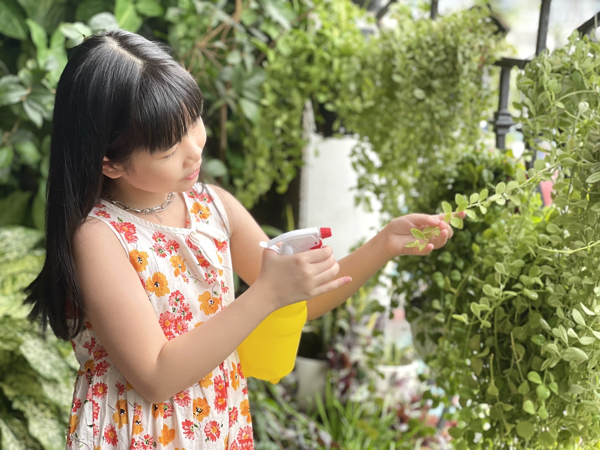 Đã mắt ban công vỏn vẹn 4m2 tựa khu vườn mini với 50 loại cây, hoa ở Hà Nội