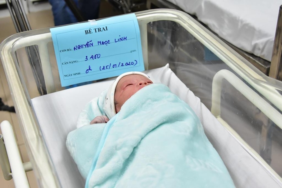 Ngắm những cô cậu chuột vàng chào đời trong thời khắc giao thừa - 10 Ngắm những cô cậu chuột vàng chào đời trong thời khắc giao thừa - 10