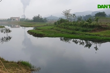 Khúc sông đen ngòm nghi do nhà máy gỗ xả thải