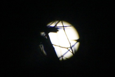 Ngắm trăng đêm Nguyên Tiêu sáng vằng vặc bên đầm phá