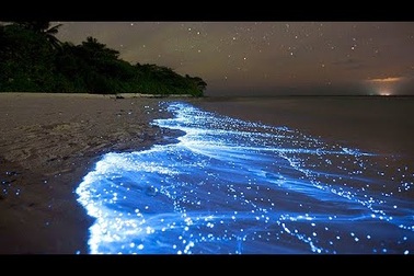 Cảnh đẹp mê hồn ở Maldives