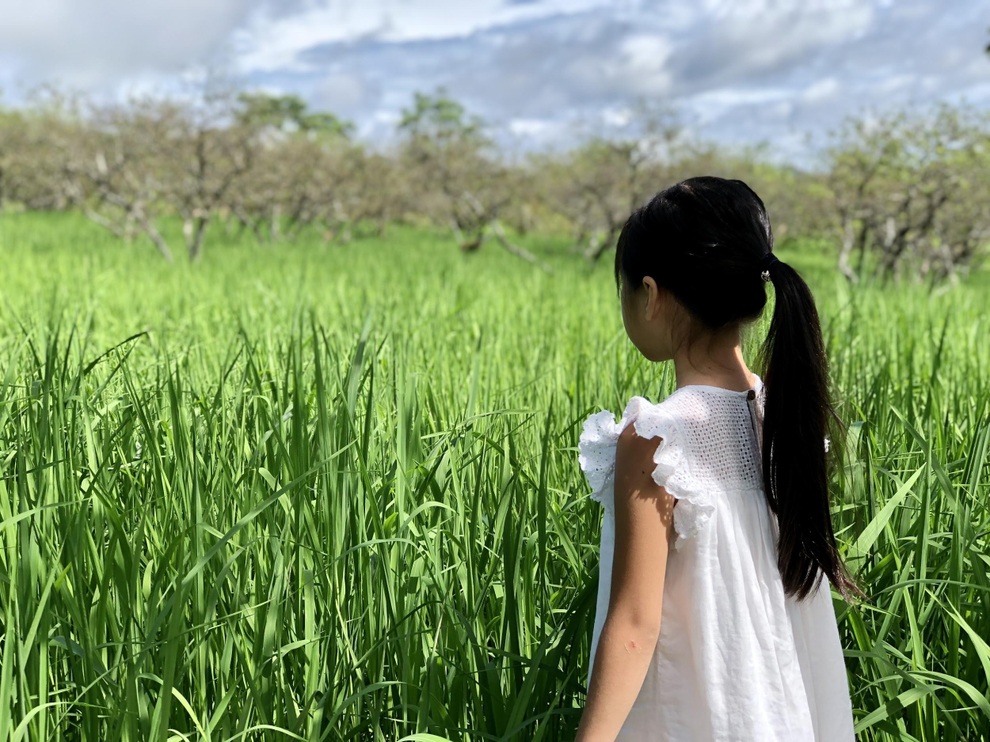 Mắc kẹt ở Mộc Châu do Hà Nội giãn cách, gia đình làm vườn đẹp mê - 11 Mắc kẹt ở Mộc Châu do Hà Nội giãn cách, gia đình làm vườn đẹp mê - 11