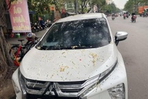 Chủ nhà "rào" vỉa hè ngăn không cho ô tô đỗ, "cuộc chiến không hồi kết"