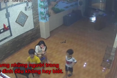 Rắn theo dòng nước lũ bò vào nhà mà cả gia đình không nhận ra