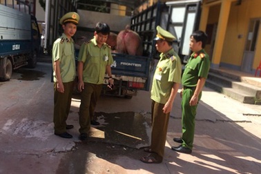 Bắt 2 xe ô tô tải vận chuyển 3 tấn lợn nhập lậu Trung Quốc