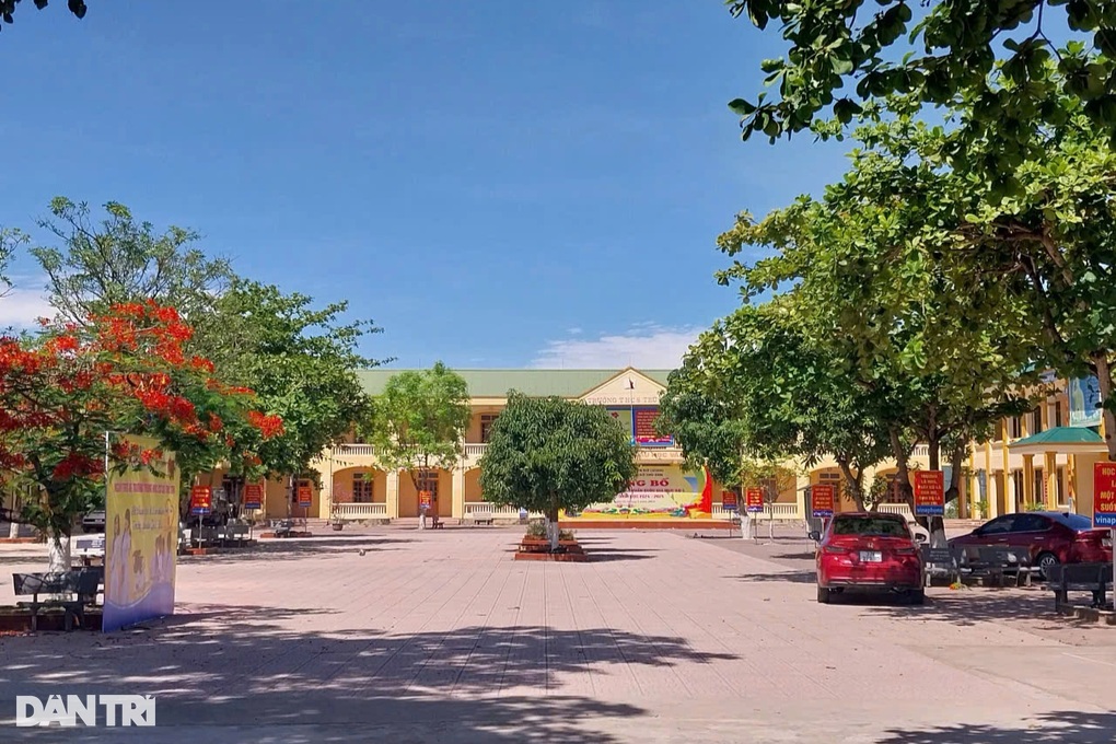 Hàng loạt cây xanh bị chặt, phụ huynh lo trường học nắng nóng - 3 Hàng loạt cây xanh bị chặt, phụ huynh lo trường học nắng nóng - 3