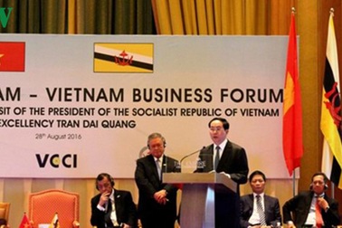 Chủ tịch nước dự Diễn đàn Doanh nghiệp Việt Nam-Brunei