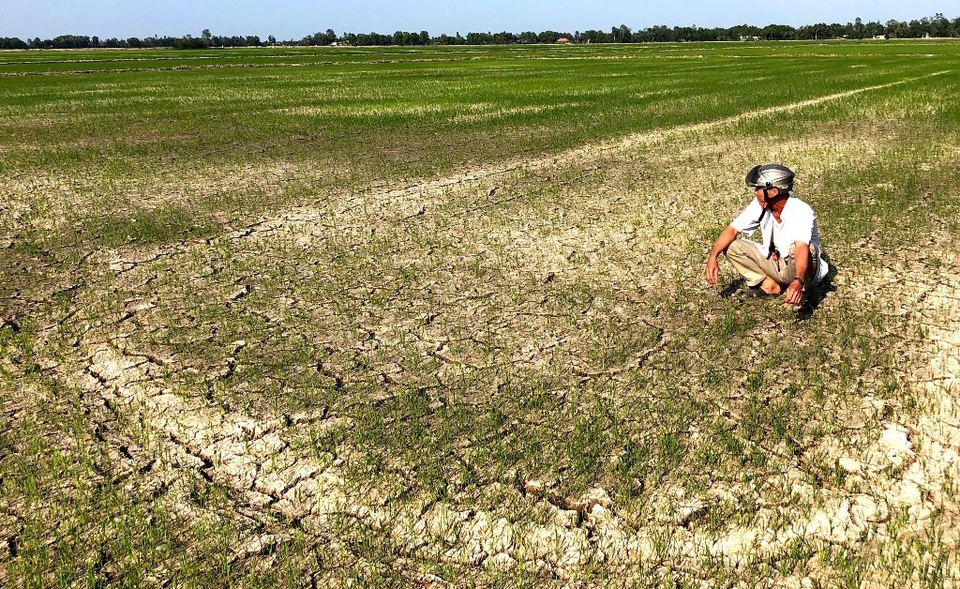 Đề nghị hỗ trợ hơn 515 tỷ đồng cho 25 tỉnh khắc phục hạn, mặn - 1 Đề nghị hỗ trợ hơn 515 tỷ đồng cho 25 tỉnh khắc phục hạn, mặn - 1