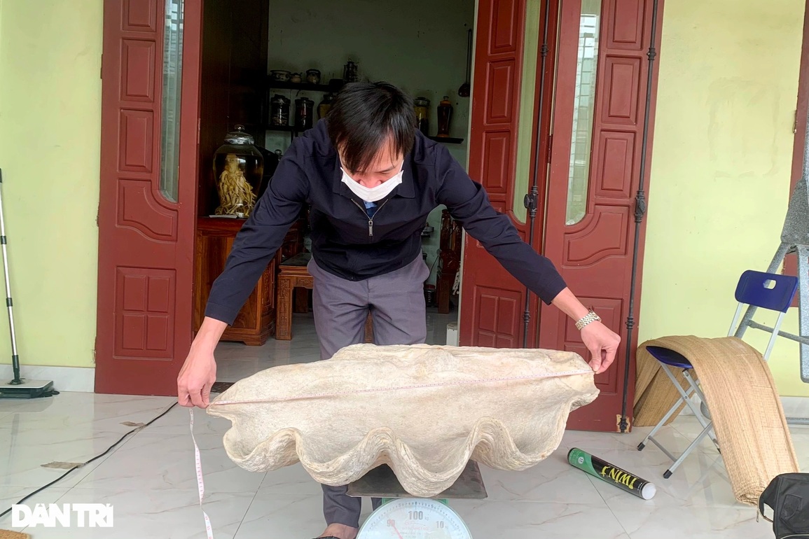 Thầy giáo sở hữu vỏ sò hóa thạch nặng gần 1 tạ, khách đổi ô tô vẫn lắc đầu - 3 Thầy giáo sở hữu vỏ sò hóa thạch nặng gần 1 tạ, khách đổi ô tô vẫn lắc đầu - 3