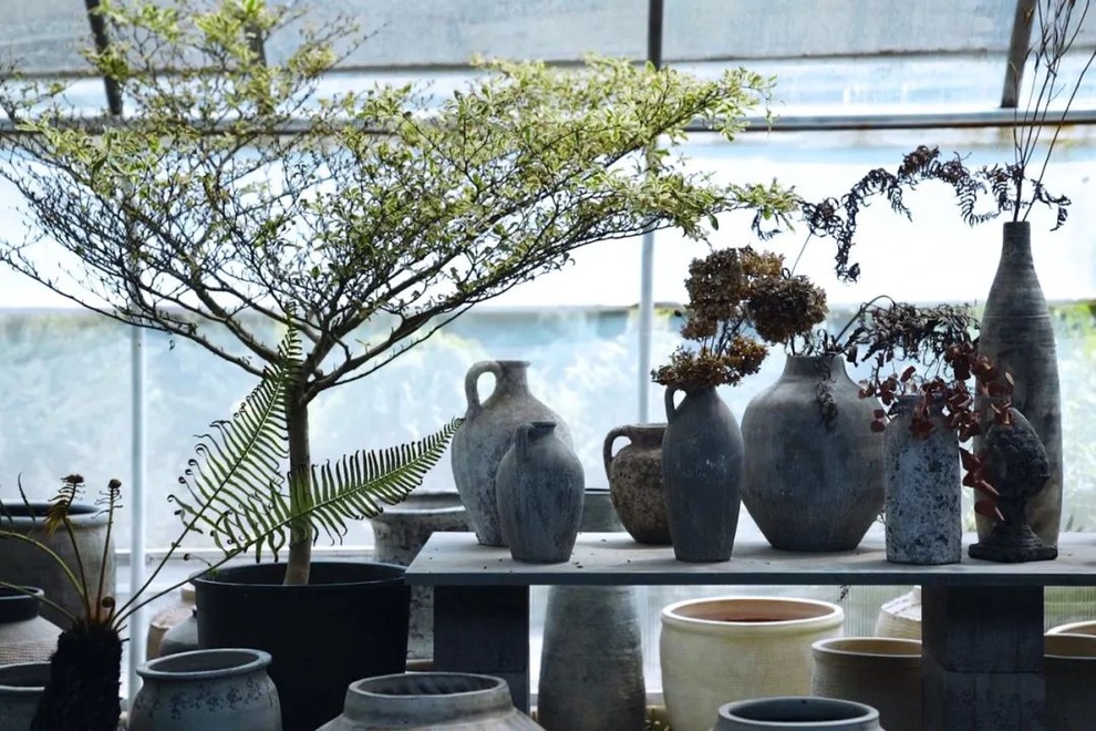 Cặp vợ chồng bỏ phố về quê, dành 6 năm làm nhà vườn 1.500m2 đẹp như tranh - 9 Cặp vợ chồng bỏ phố về quê, dành 6 năm làm nhà vườn 1.500m2 đẹp như tranh - 9