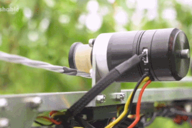 Robot hái ớt siêu nhanh, biết "bắt bệnh" và dự đoán sản lượng