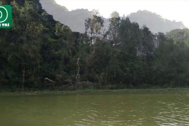 Đến Thung Nham chiều cò về