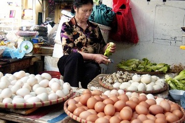 Từ quả trứng Trung Quốc...