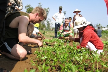 Rộn ràng lễ hội cầu bông ở làng rau hơn 500 tuổi