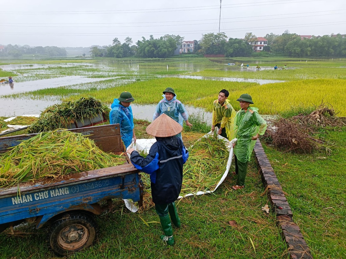 Công an, bộ đội dầm nước lũ cứu lúa giúp dân - 9 Công an, bộ đội dầm nước lũ cứu lúa giúp dân - 9