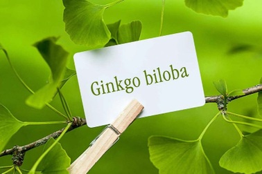 6 tháng luyện tập giúp người rối loạn nhận thức đảo ngược tình thế?