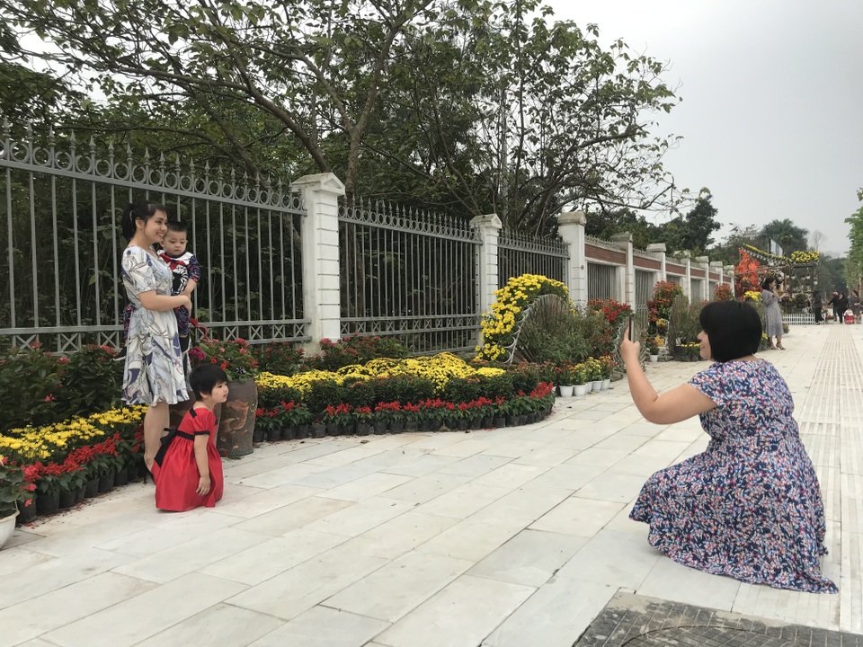 Ấn tượng những đường hoa rực rỡ sắc màu đón Tết ở thành Vinh  - 7