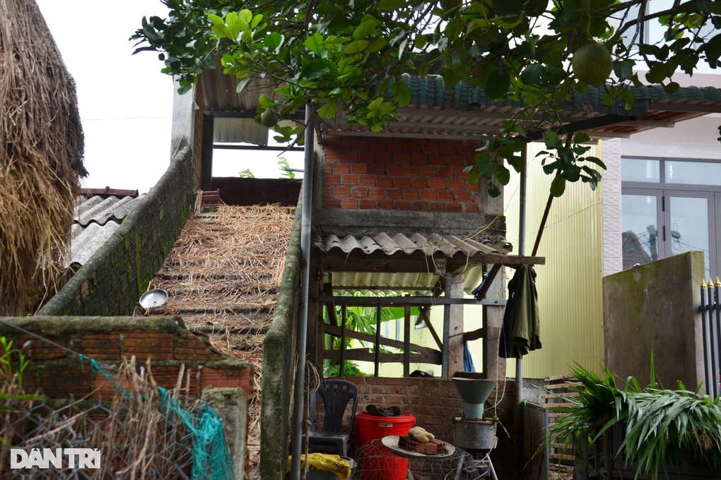 Cuộc sống nơi nhà nào cũng ráng xây nhà lầu cho... trâu, bò - 1 Cuộc sống nơi nhà nào cũng ráng xây nhà lầu cho... trâu, bò - 1