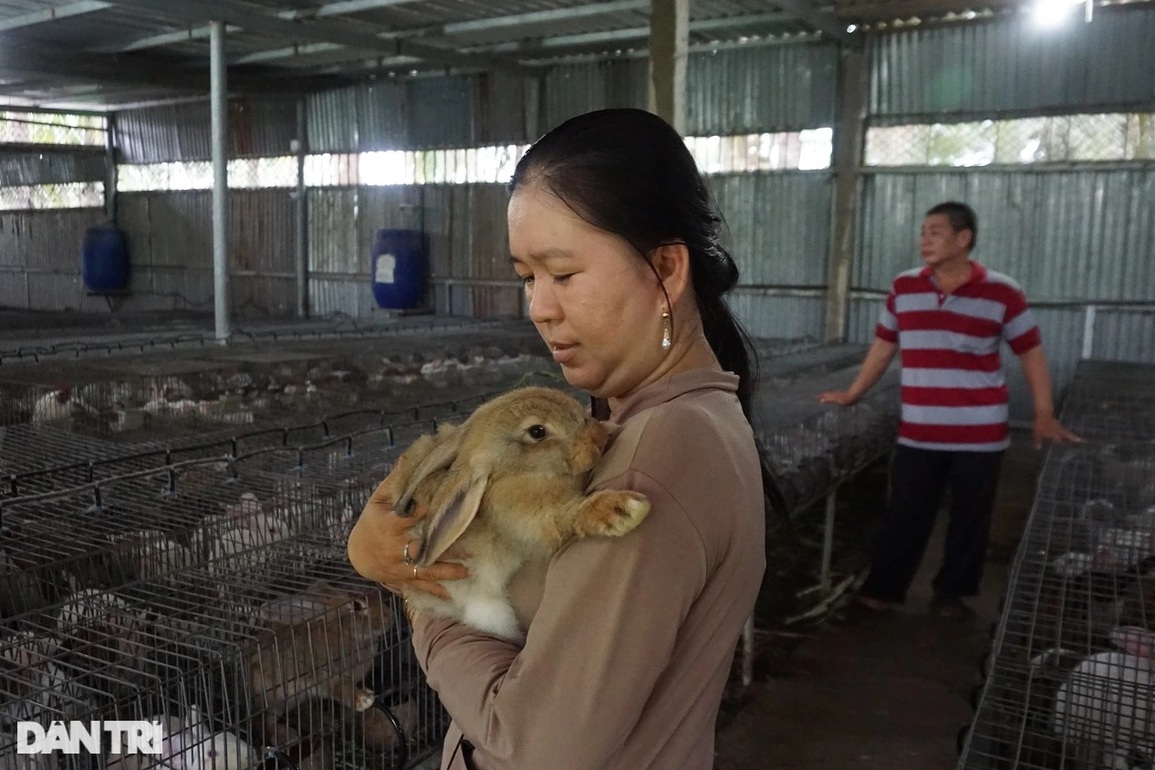 Anh nông dân khấm khá nhờ nuôi loài vật em bé nào cũng mê mẩn - 4 Anh nông dân khấm khá nhờ nuôi loài vật em bé nào cũng mê mẩn - 4