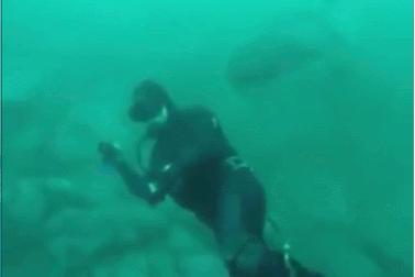 Thợ lặn may mắn thoát chết trước hàm răng cá mập