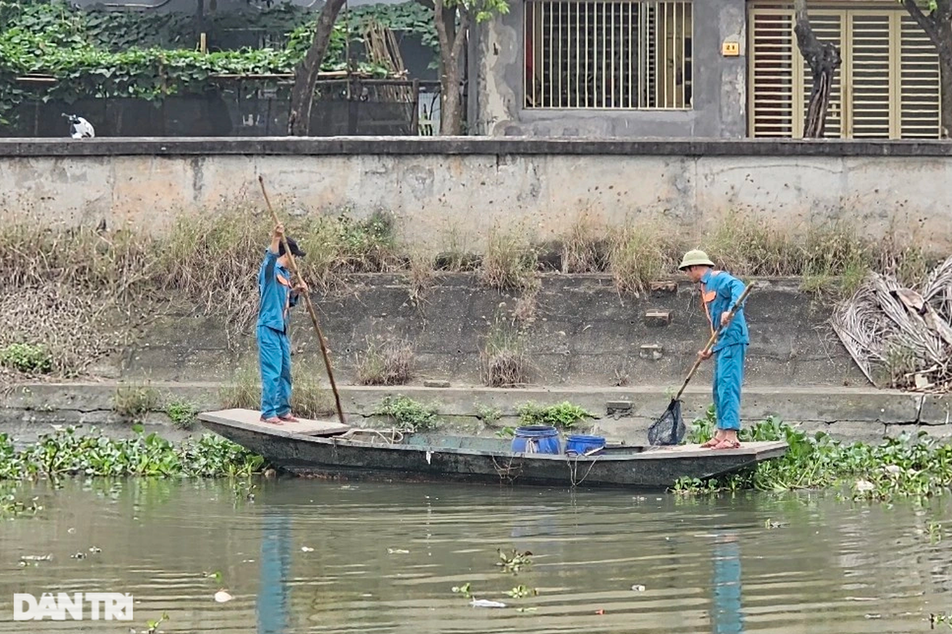 Công nhân môi trường căng mình vớt cá chết ở Hải Dương - 9 Công nhân môi trường căng mình vớt cá chết ở Hải Dương - 9
