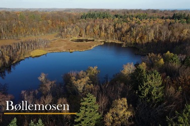 Cảnh yên bình của Naerum