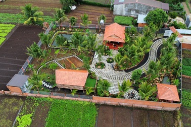 Chàng trai 9X gom đá và gỗ cũ, dựng nhà vườn 1.000m2 ở Buôn Mê Thuột