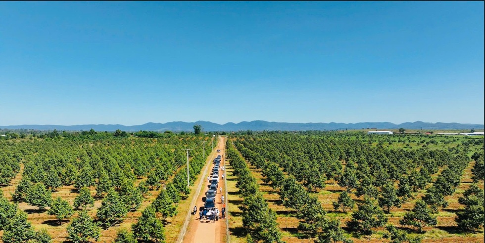 Bầu Đức nói về 3 ân nhân, trong đó có một tỷ phú nổi tiếng - 1