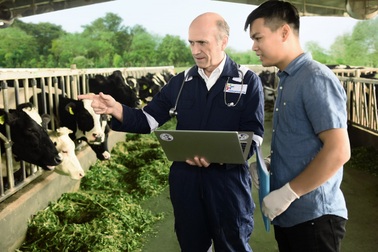 FrieslandCampina Việt Nam phát triển bền vững Vì một Việt Nam vươn cao vượt trội