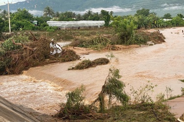 Ai chịu trách nhiệm bồi thường sau vụ vỡ hồ nước ở Lâm Đồng?