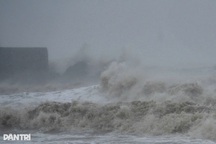 Hôm nay, bão Bualoi đổ bộ Nghệ An - Quảng Trị