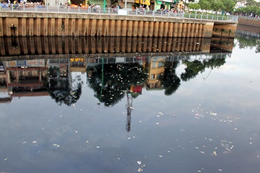 “Giải mã” hiện trượng cá chết trắng kênh Nhiêu Lộc - Thị Nghè