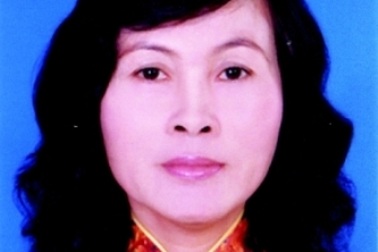 Lừa đảo ngân hàng, nguyên Phó chủ tịch HĐND huyện lĩnh án 8 năm tù