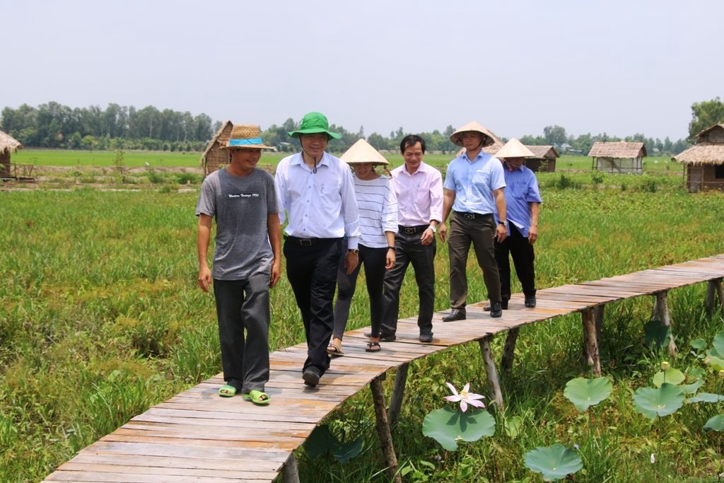 Đứng nhất nước về chất lượng lao động, Đồng Tháp đã làm gì? - 8 Đứng nhất nước về chất lượng lao động, Đồng Tháp đã làm gì? - 8