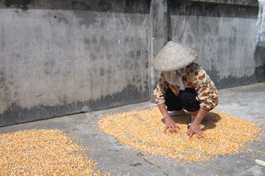 Ám ảnh làng “xin” con 