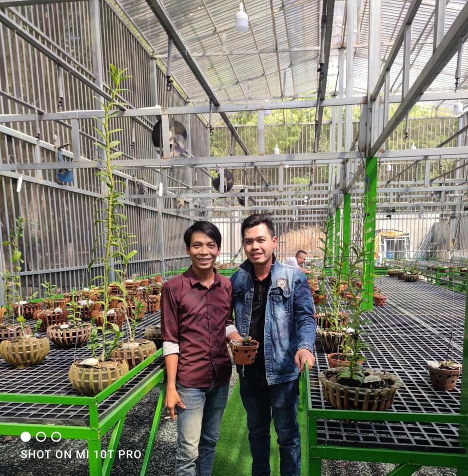 Nghệ nhân Lê Trọng Nhân chia sẻ kinh nghiệm chăm sóc hoa lan đột biến - 4 Nghệ nhân Lê Trọng Nhân chia sẻ kinh nghiệm chăm sóc hoa lan đột biến - 4