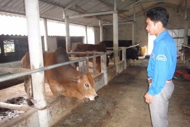 Bí thư Đoàn “liều lĩnh” kiếm hàng trăm triệu mỗi năm