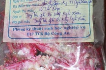 Cá kho đổi màu bất thường do vi khuẩn Serratia marcescens