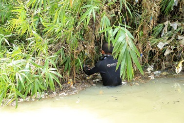 Vụ bé trai bị cuốn xuống cống: Mở rộng tìm kiếm sang TPHCM