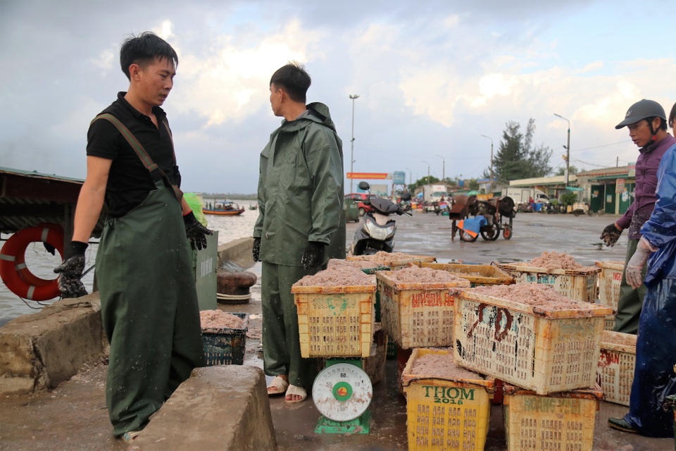 Trúng luồng ruốc, ngư dân kiếm triệu mỗi ngày - 9 Trúng luồng ruốc, ngư dân kiếm triệu mỗi ngày - 9