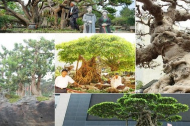 Xôn xao những thương vụ mua bán siêu cây bạc tỷ của đại gia Việt