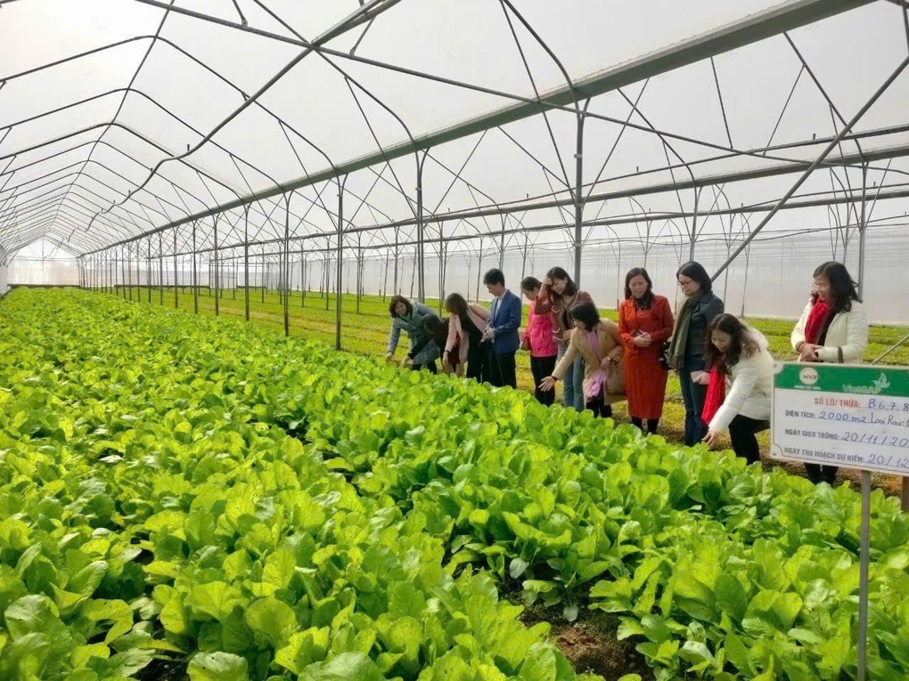 Hương Việt Sinh chăm sóc thế hệ trẻ bằng bữa ăn học đường ngon sạch - 5 Hương Việt Sinh chăm sóc thế hệ trẻ bằng bữa ăn học đường ngon sạch - 5