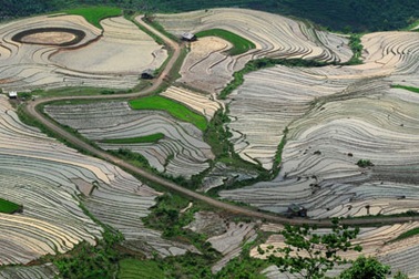 Ruộng bậc thang Ý Tý mùa cấy