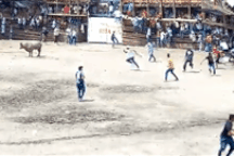 Video sân vận động đổ sập, khán giả rơi chồng lên nhau ở Colombia