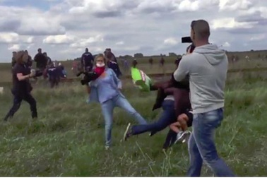 Ông bố tị nạn bị phóng viên “đốn ngã” được mời làm HLV