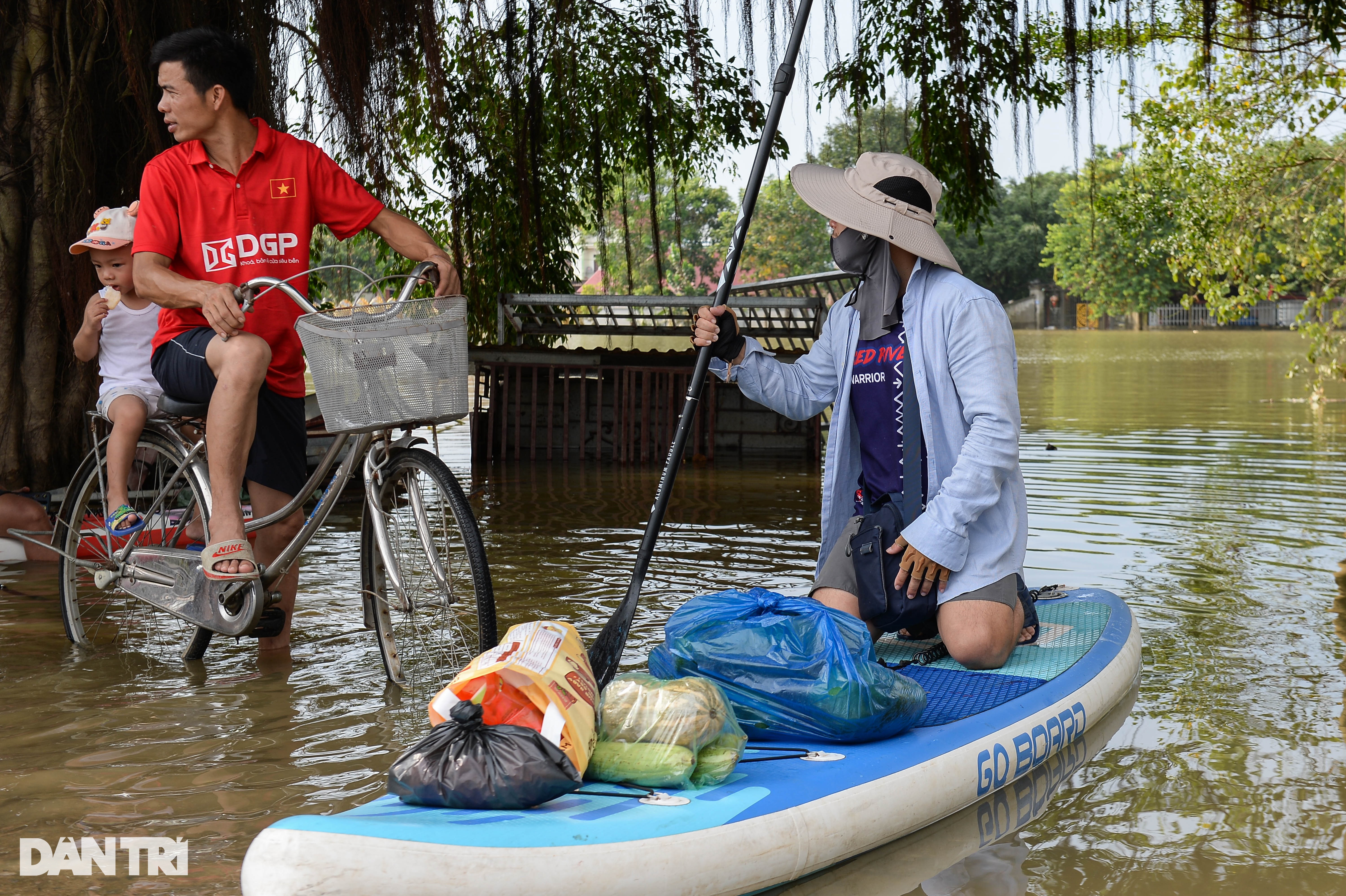 View - Hà Nội: Nước lũ dâng cao hơn 5m, người dân "sơ tán" đàn lợn lên tầng 3 | Báo Dân trí