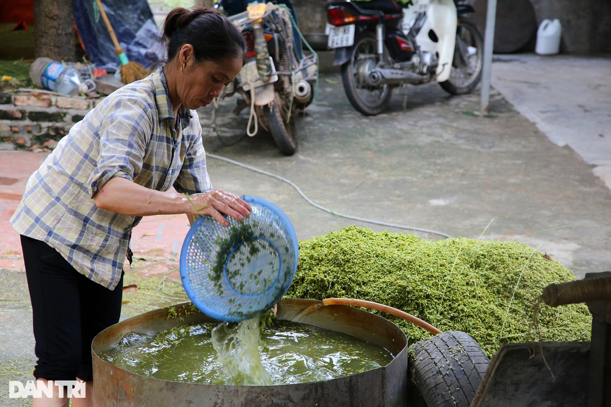 Nghề cốm Mễ Trì: Tự trồng lúa, làm khép kín từ A đến Z - 11 Nghề cốm Mễ Trì: Tự trồng lúa, làm khép kín từ A đến Z - 11