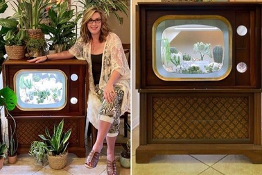 Cô gái biến tivi cũ kỹ thành khu vườn xương rồng độc đáo