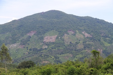 Mời người loan tin "gấu rừng gầm rú" lên làm việc